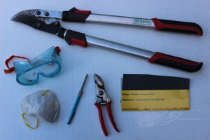 Bud pruning tools