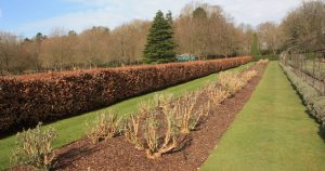 Pruning complete Nursery Gardens